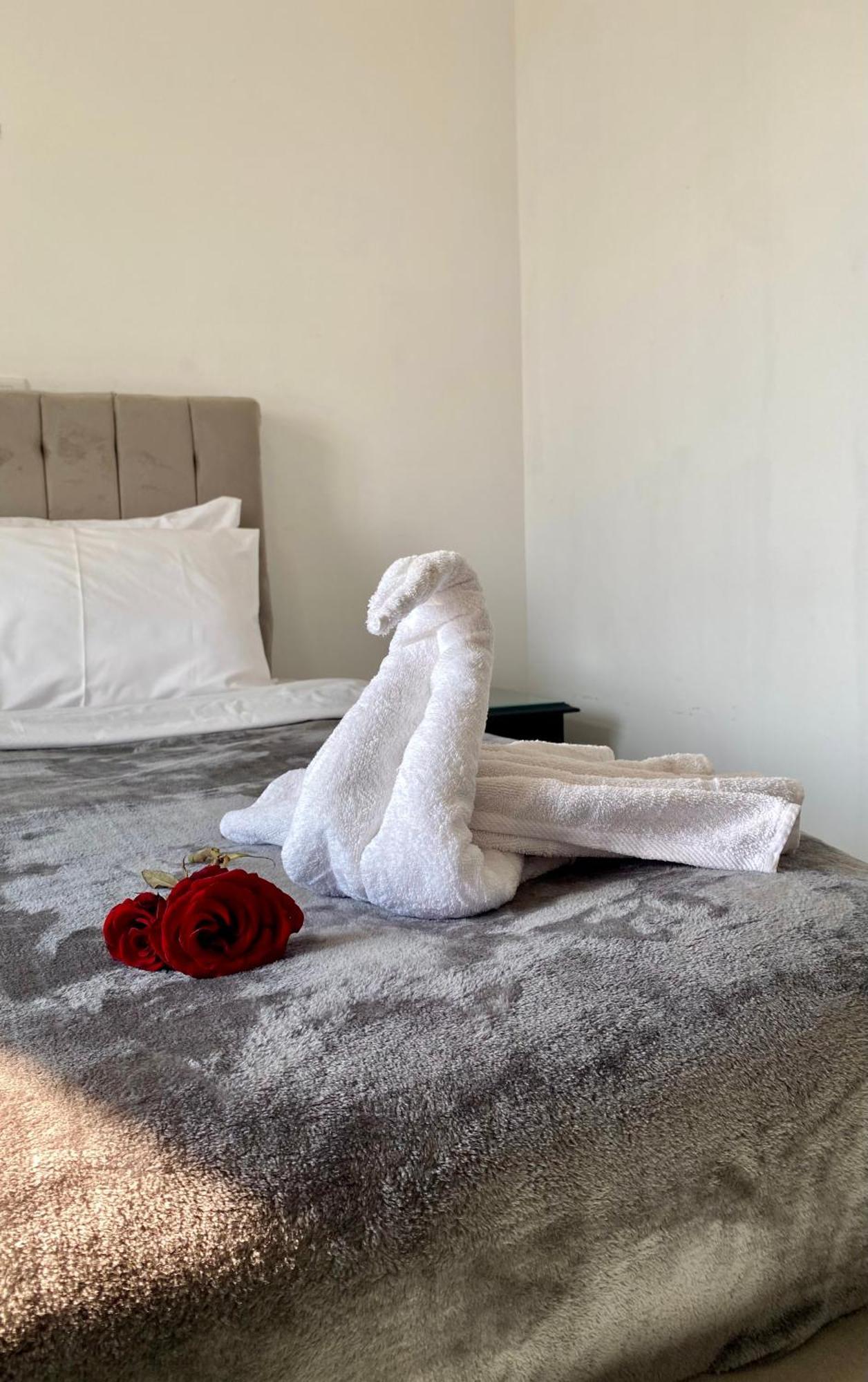 K Boutique Hotel Medspa-Pyramids & Grand Egyptian Museum Ghatati Ngoại thất bức ảnh