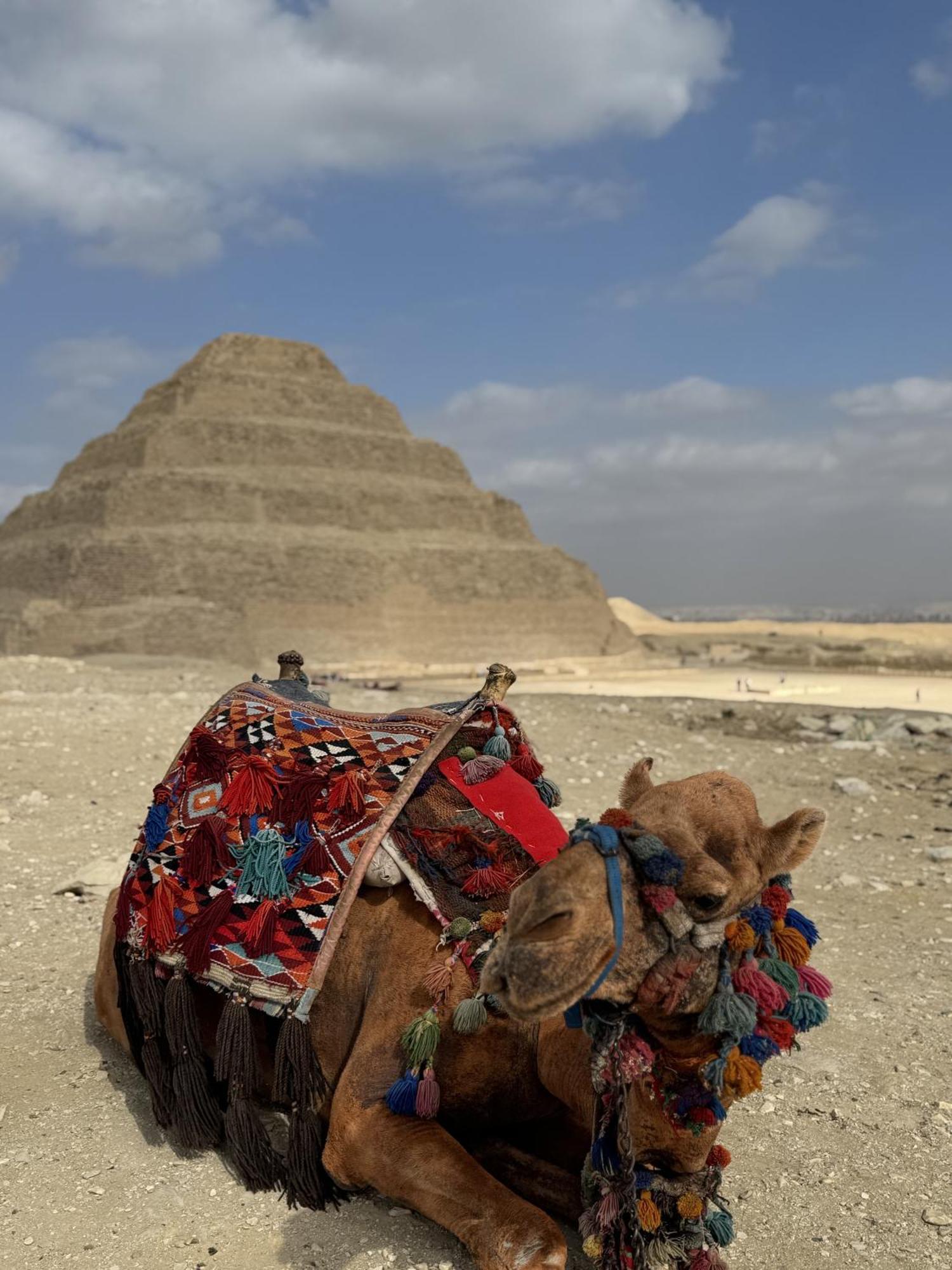 K Boutique Hotel Medspa-Pyramids & Grand Egyptian Museum Ghatati Ngoại thất bức ảnh